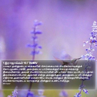 1 இராஜாக்கள் 16:7 TAMIRV Bible Verse Image