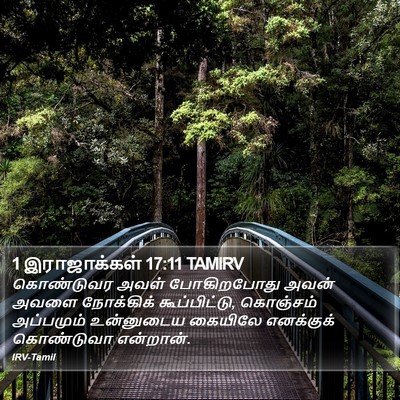 1 இராஜாக்கள் 17:11 TAMIRV Bible Verse Image