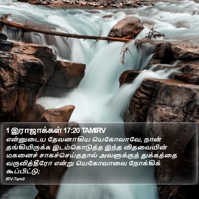 1 இராஜாக்கள் 17:20 TAMIRV Bible Verse Image