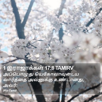 1 இராஜாக்கள் 17:8 TAMIRV Bible Verse Image