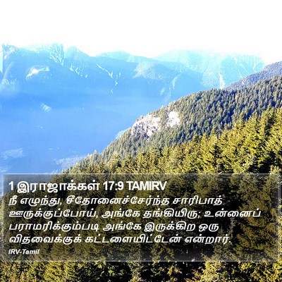 1 இராஜாக்கள் 17:9 TAMIRV Bible Verse Image