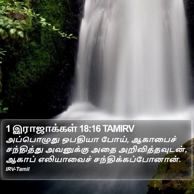 1 இராஜாக்கள் 18:16 TAMIRV Bible Verse Image