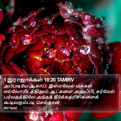 1 இராஜாக்கள் 18:20 TAMIRV Bible Verse Image