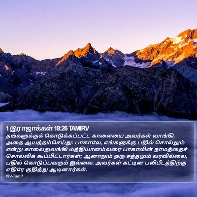 1 இராஜாக்கள் 18:26 TAMIRV Bible Verse Image