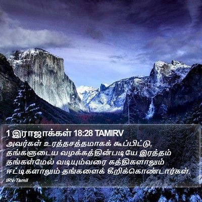 1 இராஜாக்கள் 18:28 TAMIRV Bible Verse Image