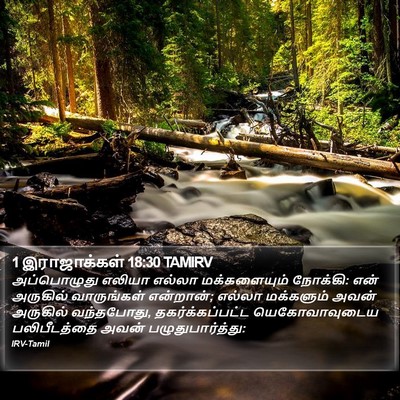 1 இராஜாக்கள் 18:30 TAMIRV Bible Verse Image