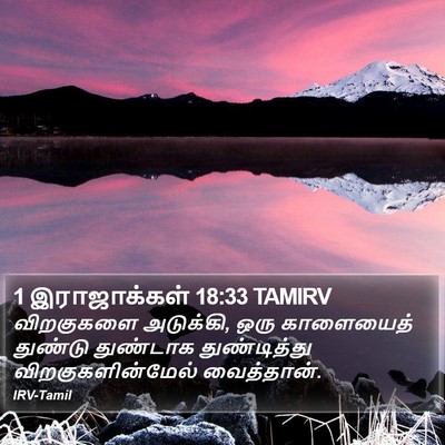 1 இராஜாக்கள் 18:33 TAMIRV Bible Verse Image