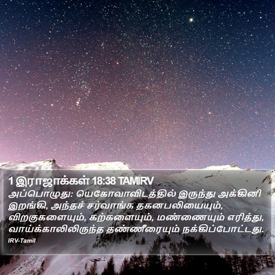 1 இராஜாக்கள் 18:38 TAMIRV Bible Verse Image