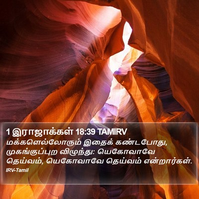 1 இராஜாக்கள் 18:39 TAMIRV Bible Verse Image