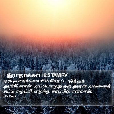 1 இராஜாக்கள் 19:5 TAMIRV Bible Verse Image