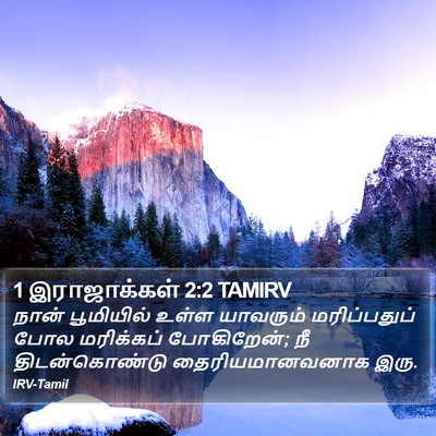 1 இராஜாக்கள் 2:2 TAMIRV Bible Verse Image