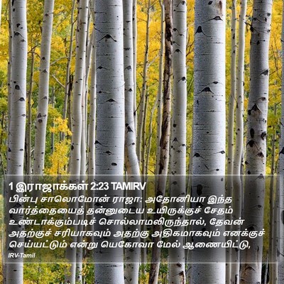 1 இராஜாக்கள் 2:23 TAMIRV Bible Verse Image