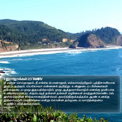 1 இராஜாக்கள் 2:3 TAMIRV Bible Verse Image