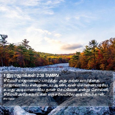 1 இராஜாக்கள் 2:38 TAMIRV Bible Verse Image