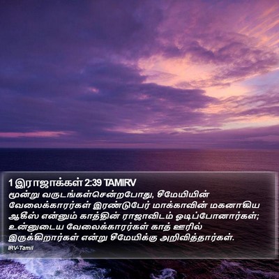 1 இராஜாக்கள் 2:39 TAMIRV Bible Verse Image