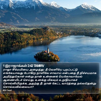 1 இராஜாக்கள் 2:42 TAMIRV Bible Verse Image