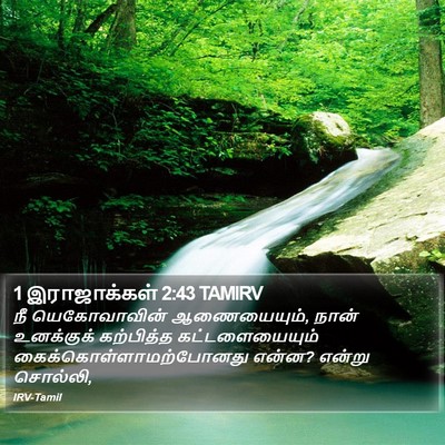1 இராஜாக்கள் 2:43 TAMIRV Bible Verse Image