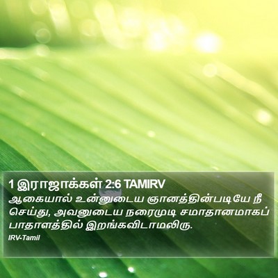 1 இராஜாக்கள் 2:6 TAMIRV Bible Verse Image