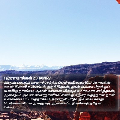 1 இராஜாக்கள் 2:8 TAMIRV Bible Verse Image