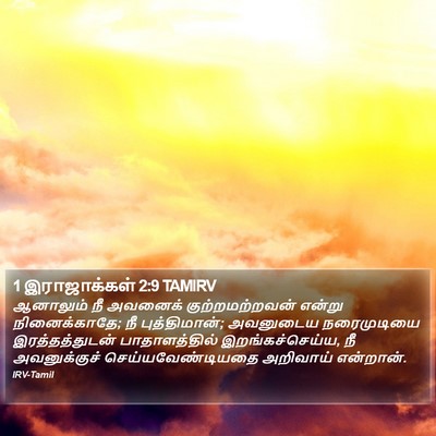 1 இராஜாக்கள் 2:9 TAMIRV Bible Verse Image