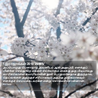 1 இராஜாக்கள் 20:10 TAMIRV Bible Verse Image
