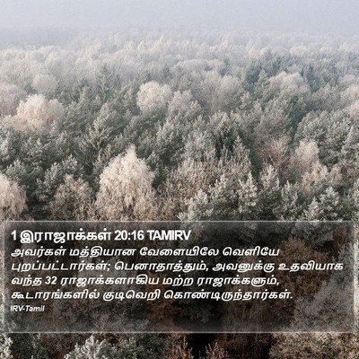 1 இராஜாக்கள் 20:16 TAMIRV Bible Verse Image