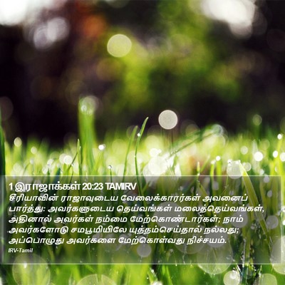 1 இராஜாக்கள் 20:23 TAMIRV Bible Verse Image