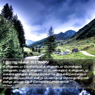 1 இராஜாக்கள் 20:3 TAMIRV Bible Verse Image
