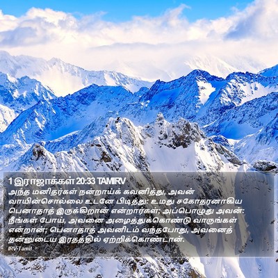 1 இராஜாக்கள் 20:33 TAMIRV Bible Verse Image
