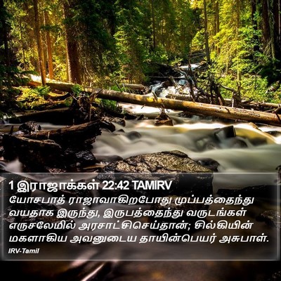 1 இராஜாக்கள் 22:42 TAMIRV Bible Verse Image