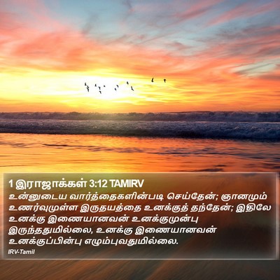 1 இராஜாக்கள் 3:12 TAMIRV Bible Verse Image
