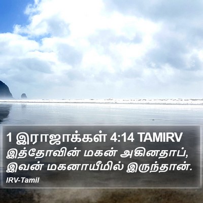 1 இராஜாக்கள் 4:14 TAMIRV Bible Verse Image