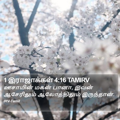1 இராஜாக்கள் 4:16 TAMIRV Bible Verse Image