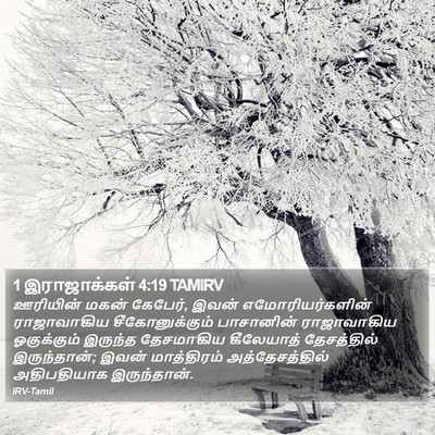 1 இராஜாக்கள் 4:19 TAMIRV Bible Verse Image