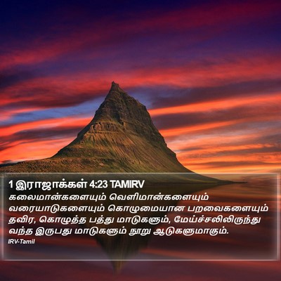 1 இராஜாக்கள் 4:23 TAMIRV Bible Verse Image