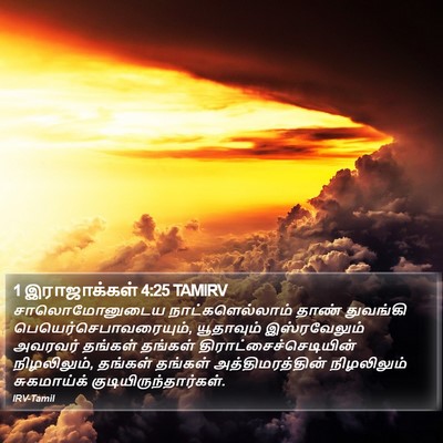 1 இராஜாக்கள் 4:25 TAMIRV Bible Verse Image