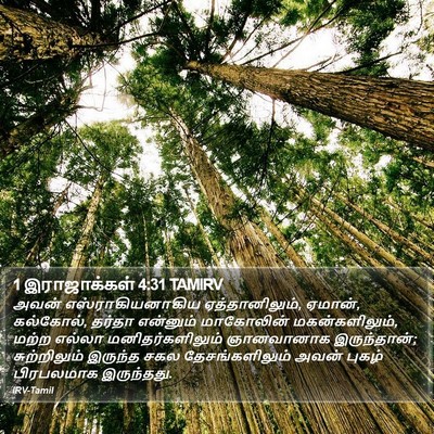 1 இராஜாக்கள் 4:31 TAMIRV Bible Verse Image