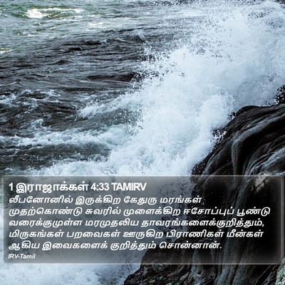 1 இராஜாக்கள் 4:33 TAMIRV Bible Verse Image