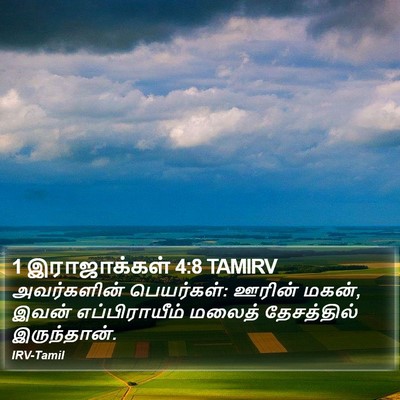1 இராஜாக்கள் 4:8 TAMIRV Bible Verse Image