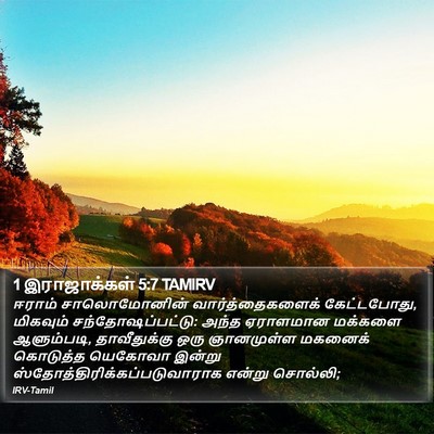 1 இராஜாக்கள் 5:7 TAMIRV Bible Verse Image