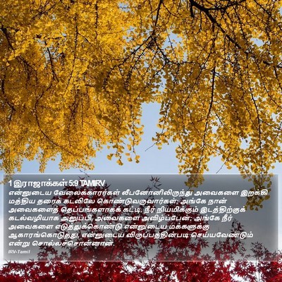 1 இராஜாக்கள் 5:9 TAMIRV Bible Verse Image