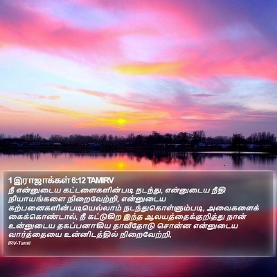 1 இராஜாக்கள் 6:12 TAMIRV Bible Verse Image