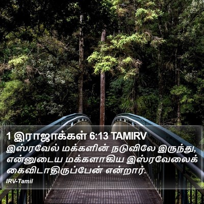1 இராஜாக்கள் 6:13 TAMIRV Bible Verse Image