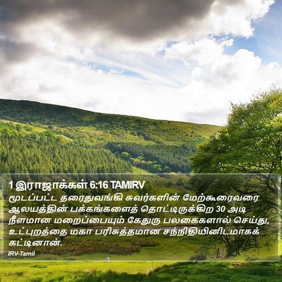 1 இராஜாக்கள் 6:16 TAMIRV Bible Verse Image