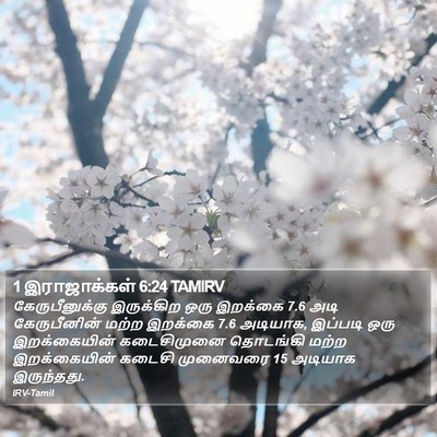 1 இராஜாக்கள் 6:24 TAMIRV Bible Verse Image