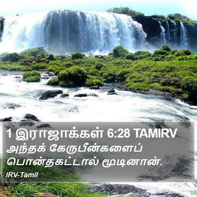 1 இராஜாக்கள் 6:28 TAMIRV Bible Verse Image