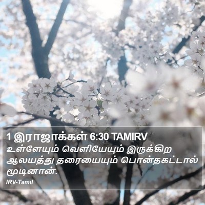 1 இராஜாக்கள் 6:30 TAMIRV Bible Verse Image