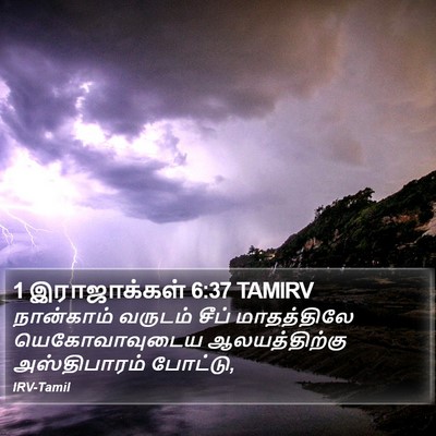 1 இராஜாக்கள் 6:37 TAMIRV Bible Verse Image