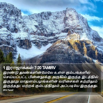 1 இராஜாக்கள் 7:20 TAMIRV Bible Verse Image