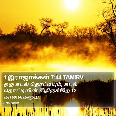 1 இராஜாக்கள் 7:44 TAMIRV Bible Verse Image